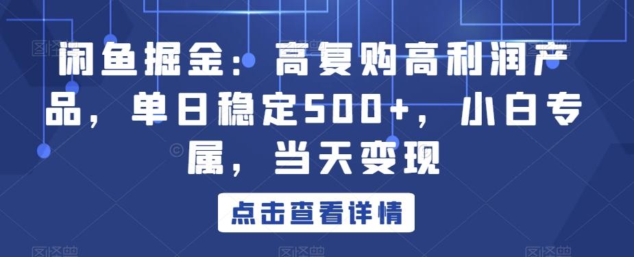 闲鱼掘金：高复购高利润产品，单日稳定500+，小白专属，当天变现-星河轻创