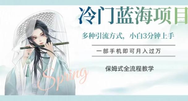 冷门蓝海项目，操作简单，小白3分钟上手，多种引流方式，保姆式全流程教学【揭秘】-星河轻创