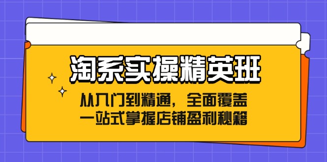 淘系实操精英班：从入门到精通，全面覆盖，一站式掌握店铺盈利秘籍-星河轻创