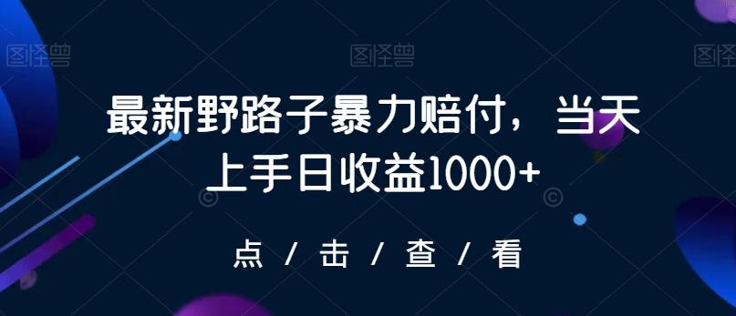 最新野路子暴力赔付，当天上手日收益1000+【仅揭秘】-星河轻创
