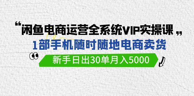 (9547期)闲鱼电商运营全系统VIP实战课，1部手机随时随地卖货，新手日出30单月入5000-星河轻创