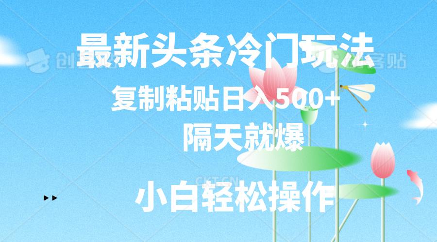最新头条冷门玩法，隔天就爆，复制粘贴日入500+-星河轻创