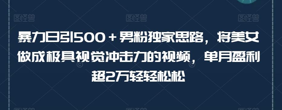 暴力日引500＋男粉独家思路，将美女做成极具视觉冲击力的视频，单月盈利超2万轻轻松松-星河轻创