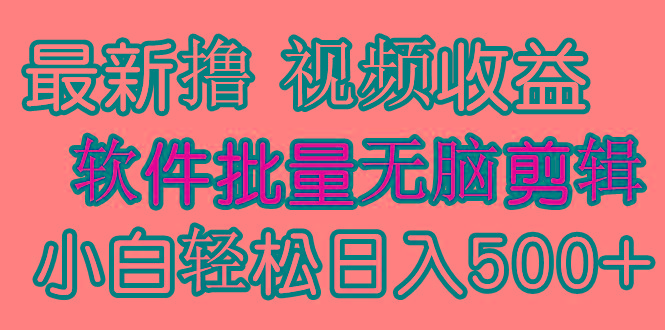 (9569期)发视频撸收益，软件无脑批量剪辑，第一天发第二天就有钱-星河轻创