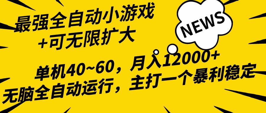 (10046期)2024最新全网独家小游戏全自动，单机40~60,稳定躺赚，小白都能月入过万-星河轻创