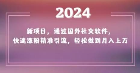 2024新项目，通过国外社交软件，快速涨粉精准引流，轻松做到月入上万【揭秘】-星河轻创