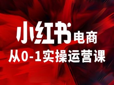 小红书电商从0-1实操运营课，让你从小白到精英-星河轻创