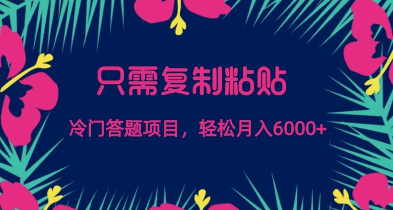 只需复制粘贴，冷门答题项目，轻松月入6000-星河轻创
