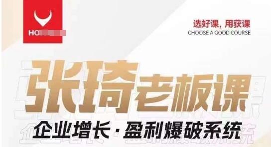 【组合课】张琦张琦老板企业增长·盈利爆破系统（直播专享）-星河轻创