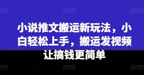 小说推文搬运新玩法，小白轻松上手，搬运发视频让搞钱更简单-星河轻创