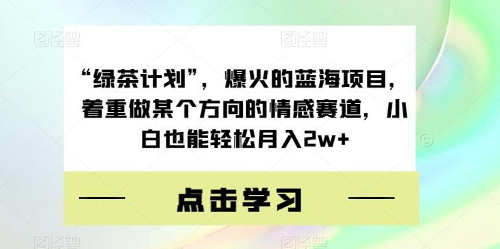 “绿茶计划”，爆火的蓝海项目，着重做某个方向的情感赛道，小白也能轻松月入2w+【揭秘】-星河轻创