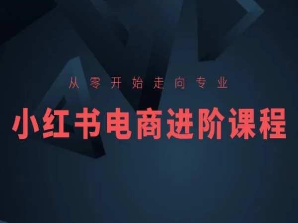从零开始走向专业，小红书电商进阶课程-星河轻创
