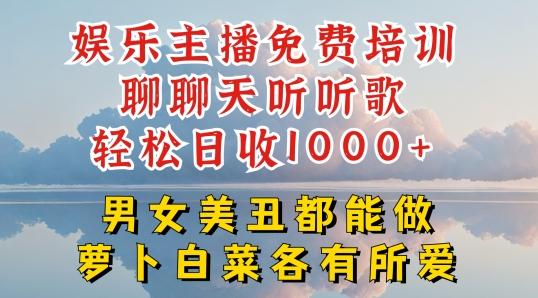 娱乐主播免费培训聊聊天听听歌轻松日收1K+，男女美丑都能做萝卜白菜各有所爱【揭秘】-星河轻创