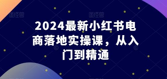 2024最新小红书电商落地实操课，从入门到精通-星河轻创
