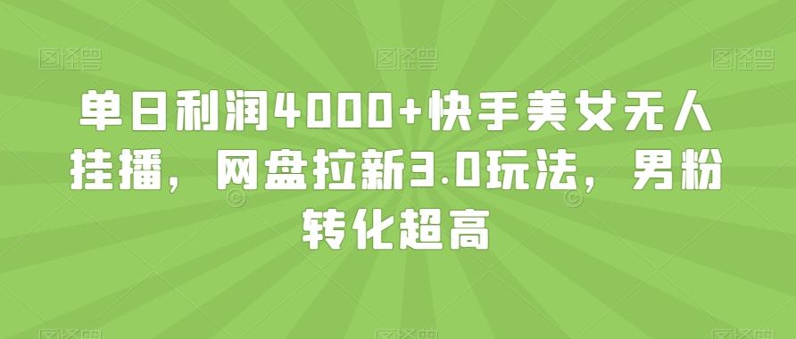 单日利润4000+快手美女无人挂播，网盘拉新3.0玩法，男粉转化超高【揭秘】-星河轻创