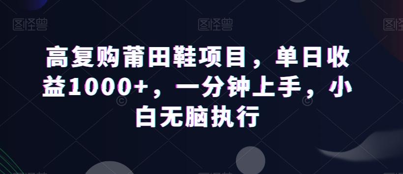 高复购莆田鞋项目，单日收益1000+，一分钟上手，小白无脑执行-星河轻创