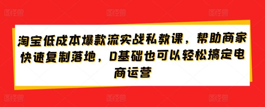 淘宝低成本爆款流实战私教课，帮助商家快速复制落地，0基础也可以轻松搞定电商运营-星河轻创