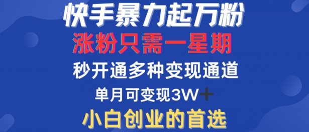 快手暴力起万粉，涨粉只需一星期，多种变现模式，直接秒开万合，单月变现过W【揭秘】-星河轻创
