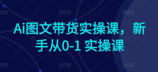 Ai图文带货实操课，新手从0-1 实操课-星河轻创
