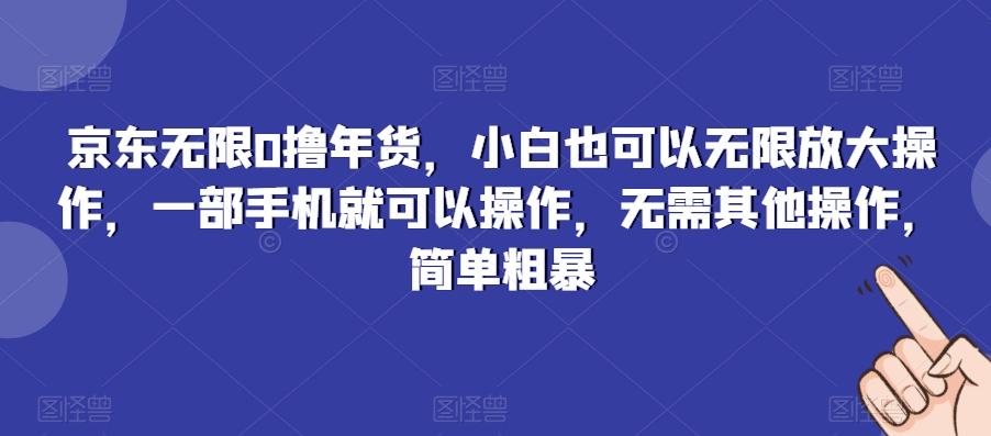 京东无限0撸年货，小白也可以无限放大操作，一部手机就可以操作，无需其他操作，简单粗暴-星河轻创