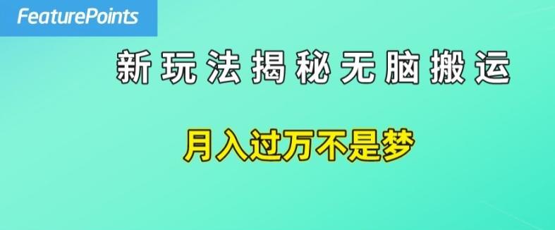 简单操作，每天50美元收入，搬运就是赚钱的秘诀【揭秘】-星河轻创