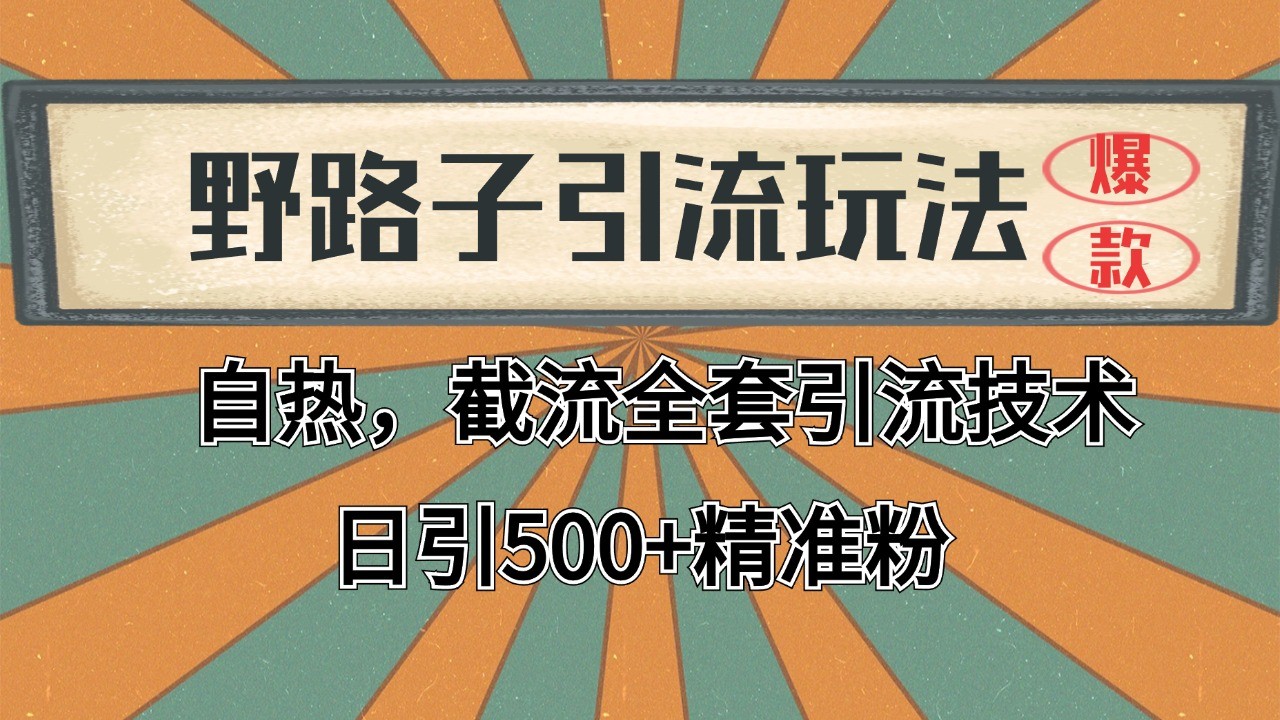 抖音小红书视频号全平台引流打法，全自动引流日引2000+精准客户-星河轻创