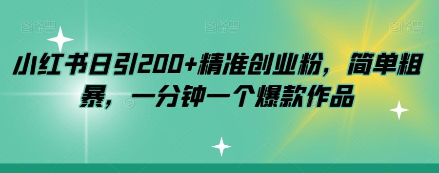 小红书日引200+精准创业粉，简单粗暴，一分钟一个爆款作品【揭秘】-星河轻创