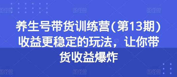 养生号带货训练营(第13期)收益更稳定的玩法，让你带货收益爆炸-星河轻创