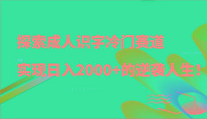 探索成人识字冷门赛道，实现日入2000+的逆袭人生！-星河轻创