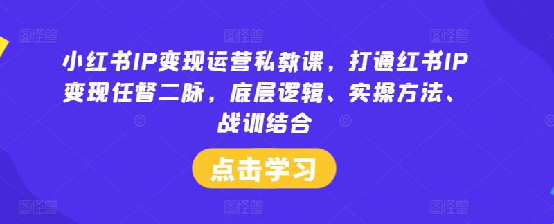 小红书IP变现运营私教课，打通红书IP变现任督二脉，底层逻辑、实操方法、战训结合-星河轻创