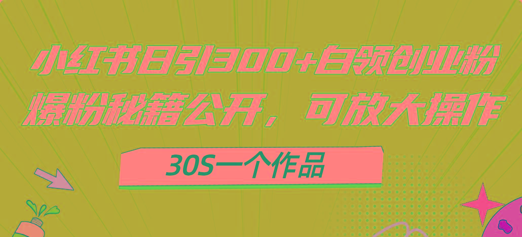 小红书日引300+高质白领创业粉，可放大操作，爆粉秘籍！30s一个作品-星河轻创