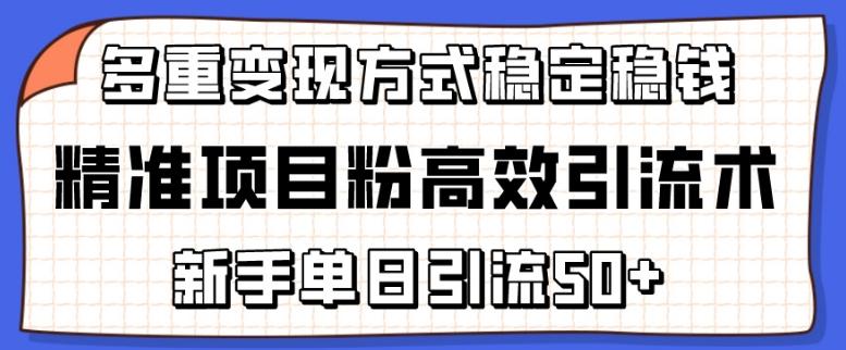 精准项目粉高效引流术，新手单日引流50+，多重变现方式稳定赚钱【揭秘】-星河轻创