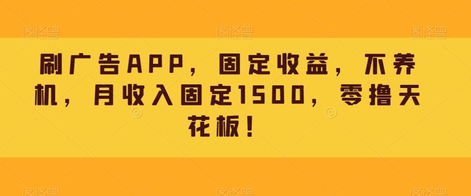 刷广告APP，固定收益，不养机，月收入固定1500，零撸天花板！-星河轻创
