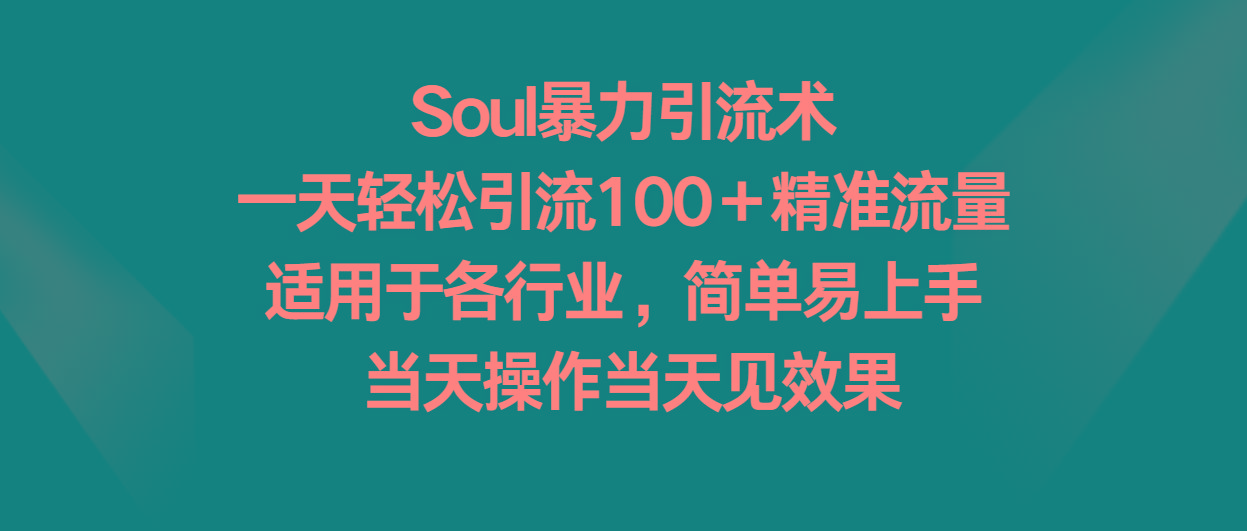 Soul暴力引流术，一天轻松引流100＋精准流量，适用于各行业，简单易上手！-星河轻创