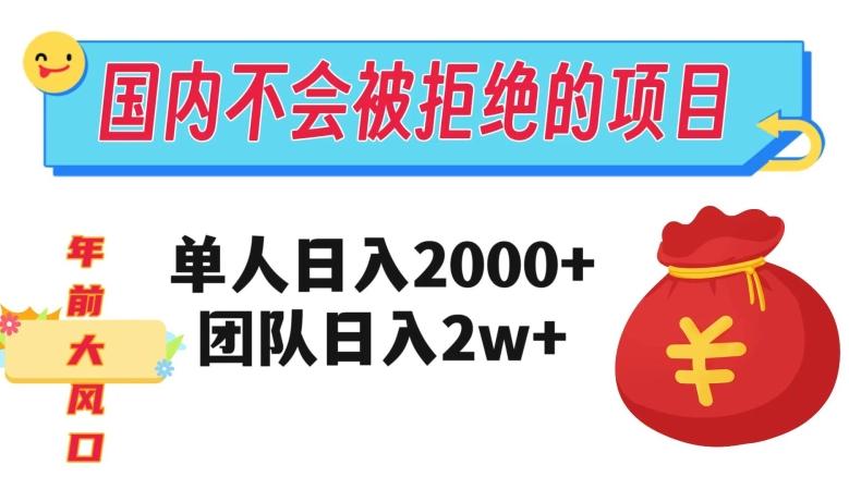 在国内不怕被拒绝的项目，单人日入2000，团队日入20000+【揭秘】-星河轻创