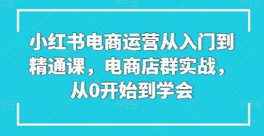 小红书电商运营从入门到精通课，电商店群实战，从0开始到学会-星河轻创
