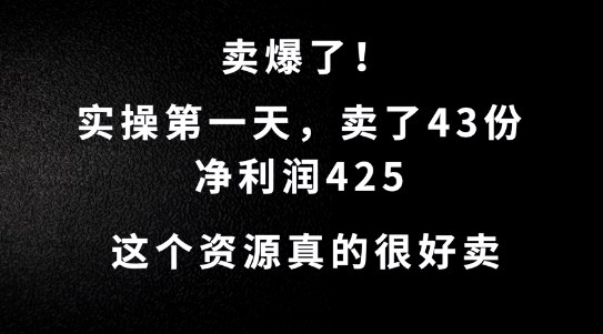 这个资源，需求很大，实操第一天卖了43份，净利润425【揭秘】-星河轻创