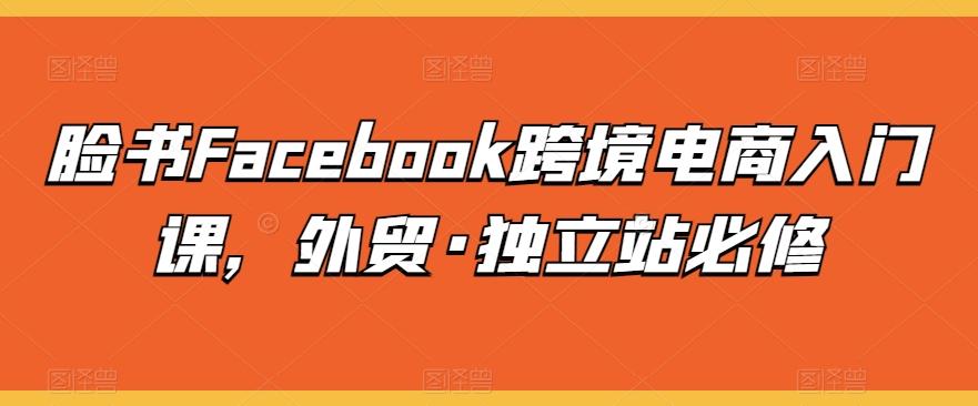 脸书Facebook跨境电商入门课，外贸·独立站必修-星河轻创