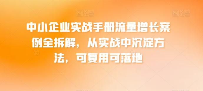 中小企业实战手册流量增长案例全拆解，从实战中沉淀方法，可复用可落地-星河轻创