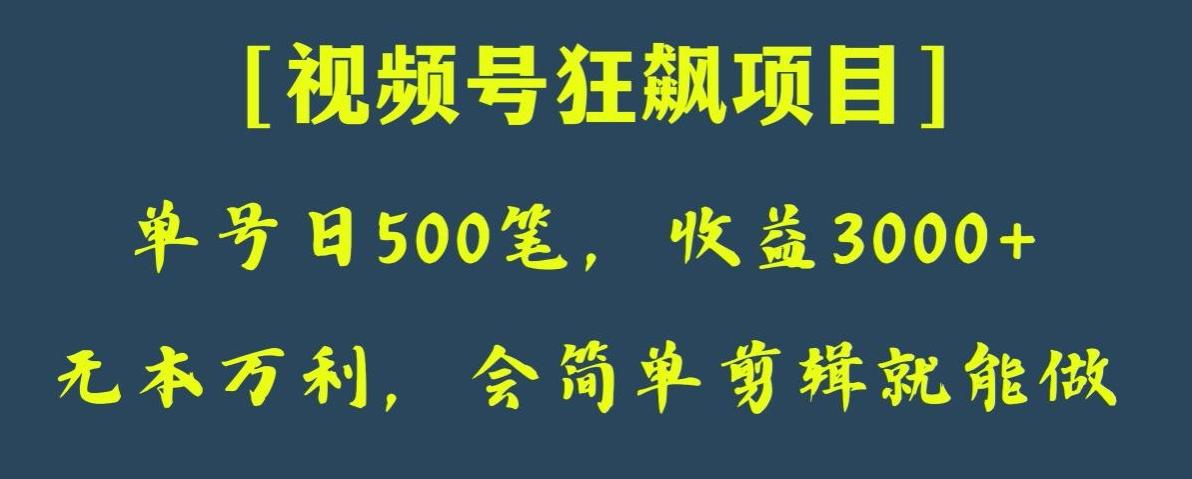 日收款500笔，纯利润3000+，视频号狂飙项目，会简单剪辑就能做【揭秘】-星河轻创
