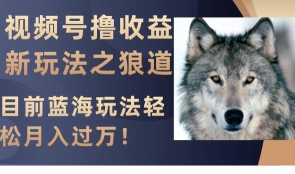 视频号撸收益新玩法之狼道，目前蓝海玩法，轻松月入过万【揭秘】-星河轻创