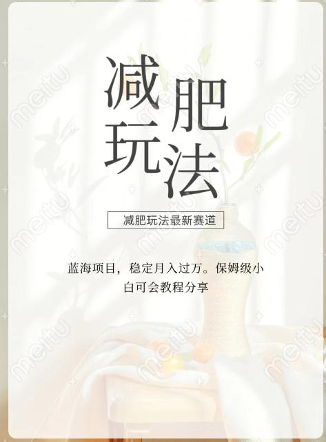 减肥流量主新玩法，轻松月入1W，可矩阵操作收入翻倍-星河轻创