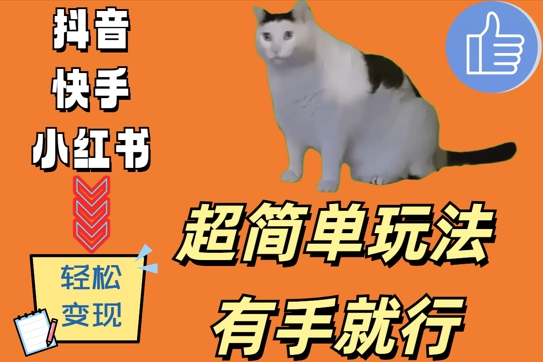 超简单玩法，有手就行，靠猫咪视频日入500+【揭秘】-星河轻创