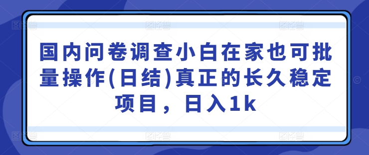 国内问卷调查小白在家也可批量操作(日结)真正的长久稳定项目，日入1k【揭秘】-星河轻创