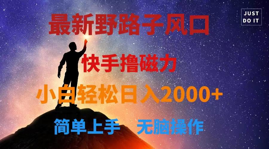 最新风口！快手撸磁力，野路子，小白无脑操作日入2000+-星河轻创