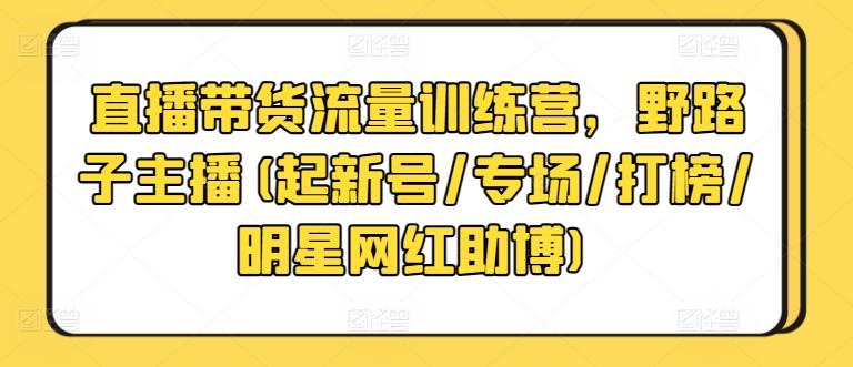 直播带货流量训练营，野路子主播(起新号/专场/打榜/明星网红助博)-星河轻创