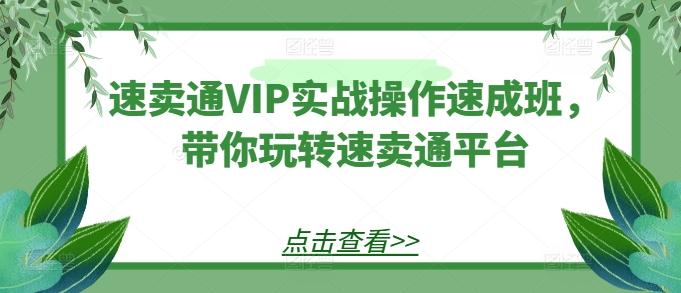 速卖通VIP实战操作速成班，带你玩转速卖通平台-星河轻创