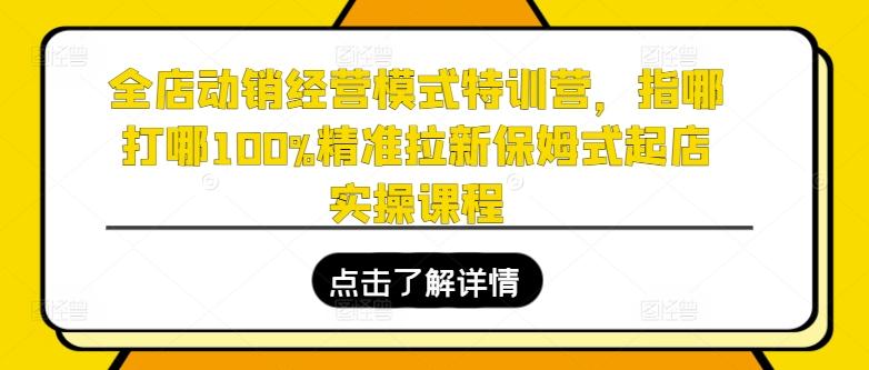 全店动销经营模式特训营，指哪打哪100%精准拉新保姆式起店实操课程-星河轻创