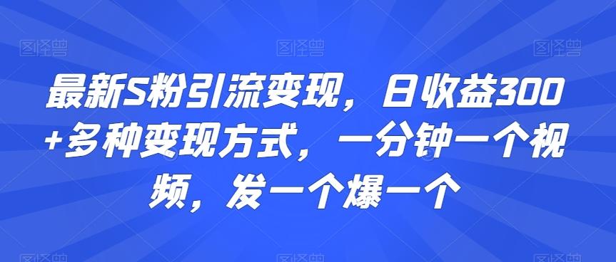 最新S粉引流变现，日收益300+多种变现方式，一分钟一个视频，发一个爆一个【揭秘】-星河轻创