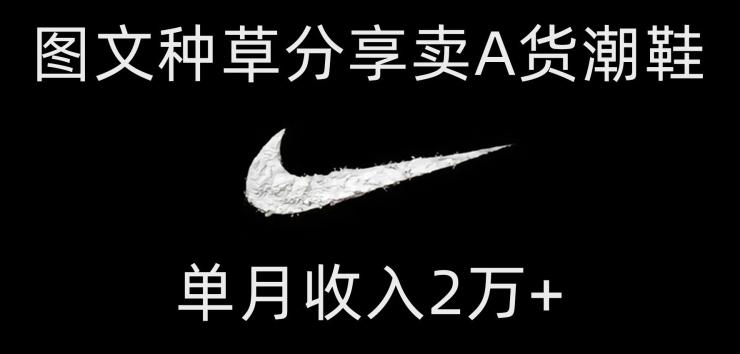 靠图文种草分享卖A货潮鞋，每天一小时，单月收入2万+【揭秘】-星河轻创